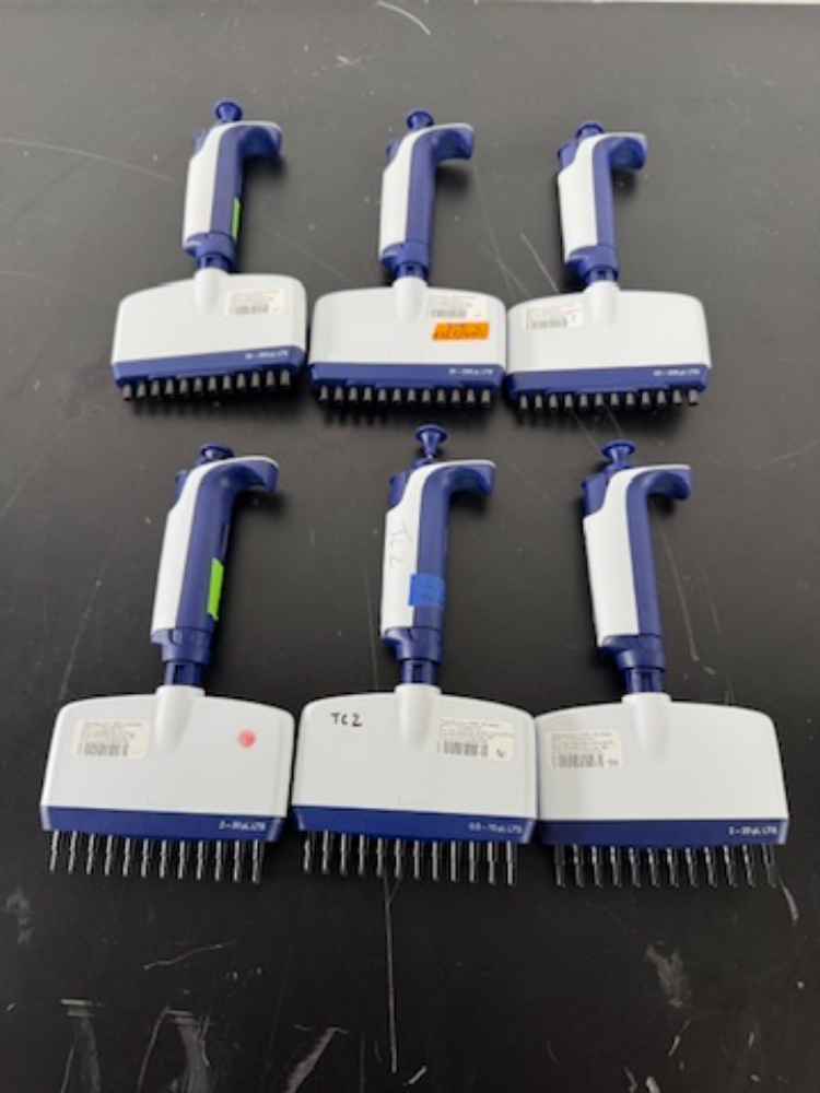 Image of Rainin Pipet-Lite XLS Multichannel Pipettes - Quantity 6